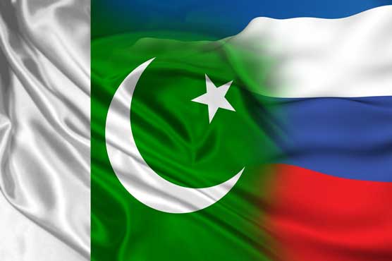 Read more about the article Russia can send natural gas to Pakistani markets: Deputy PM Novak